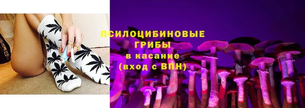 прущие крисы Няндома