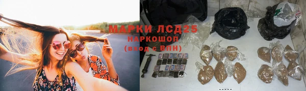 прущие крисы Няндома
