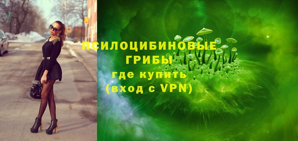 прущие крисы Няндома
