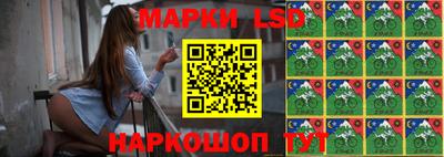 дживик Аргун