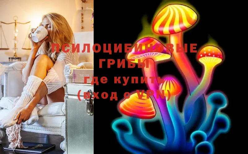 omg как войти  Кубинка  Галлюциногенные грибы MAGIC MUSHROOMS 