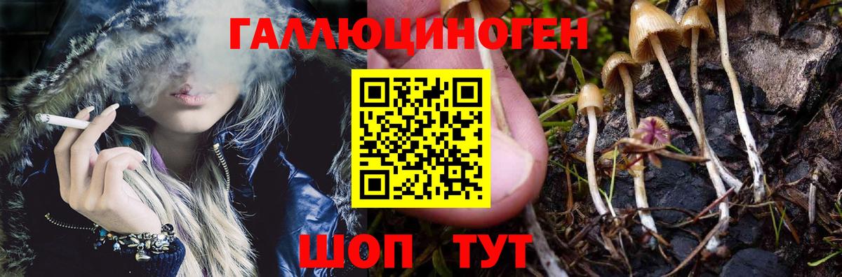 Кубинка  Галлюциногенные грибы мухоморы  Вход с VPN  Галлюциногенные грибы Psilocybine cubensis 